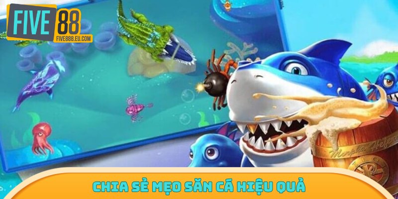 Chia sẻ mẹo săn cá hiệu quả