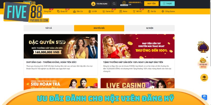 Ưu đãi dành cho hội viên đăng ký